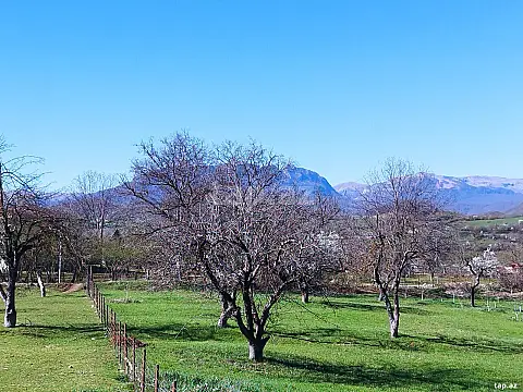 Satılır torpaq sahəsi — Quba