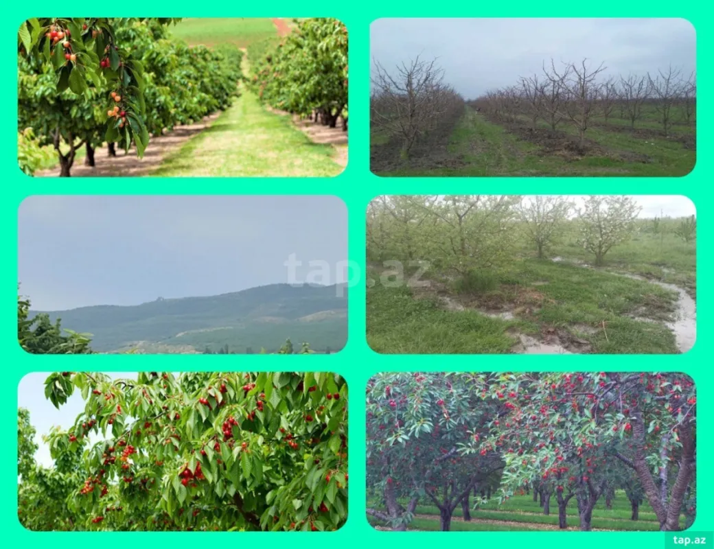 Satılır torpaq sahəsi