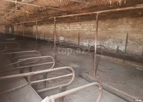 Satılır obyekt — Gəncə