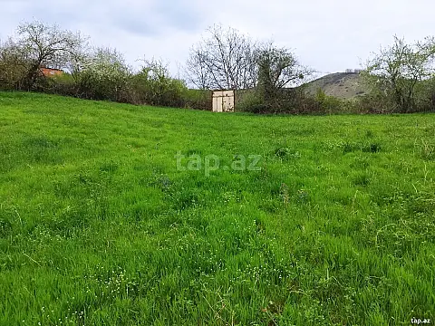 Satılır torpaq sahəsi — Quba