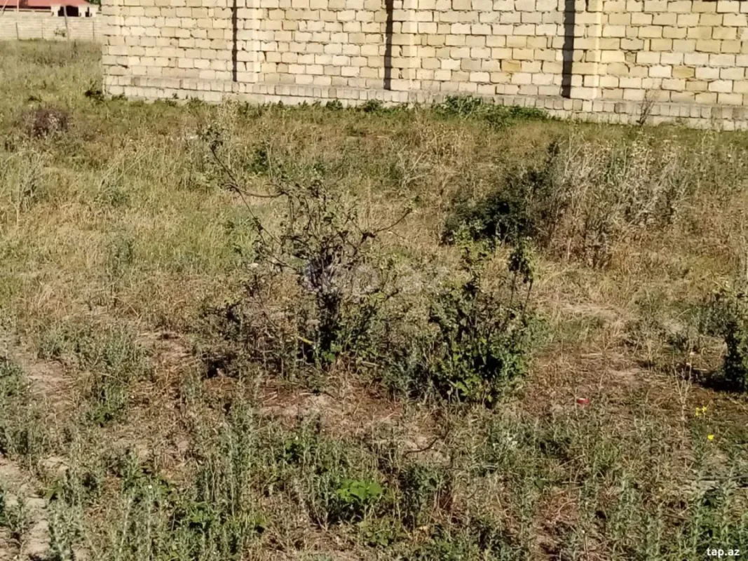 Satılır torpaq sahəsi