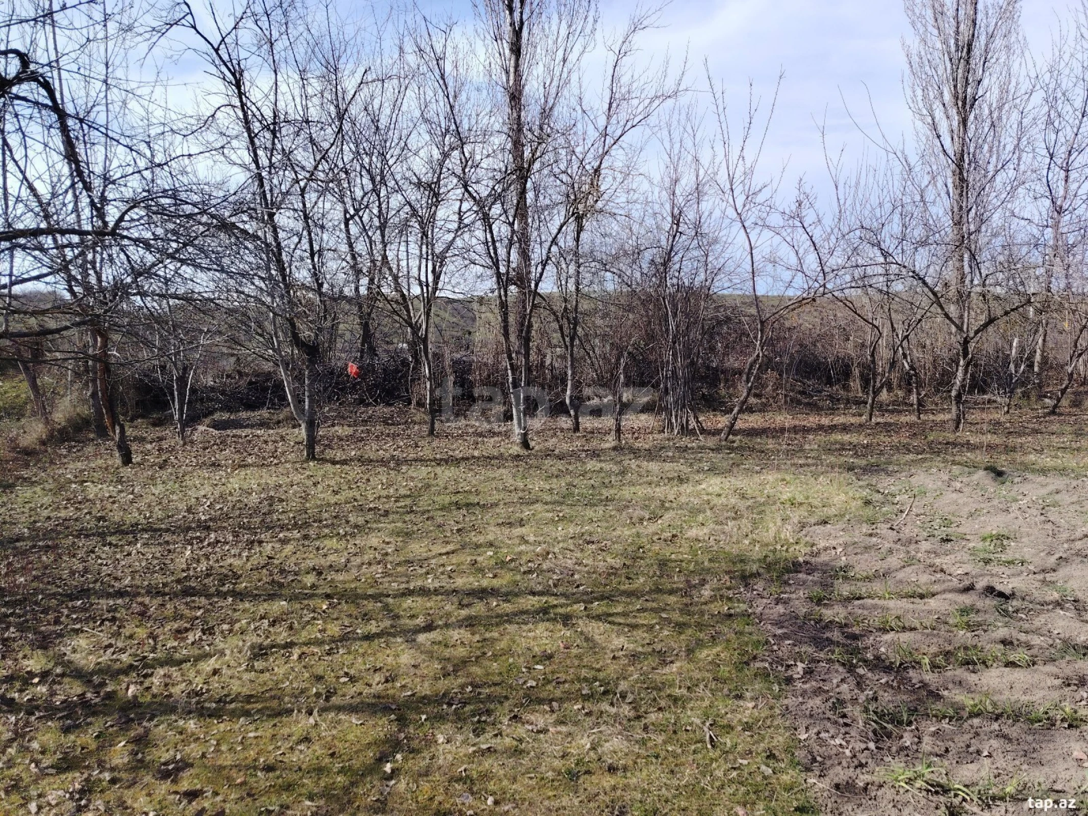 Satılır torpaq sahəsi