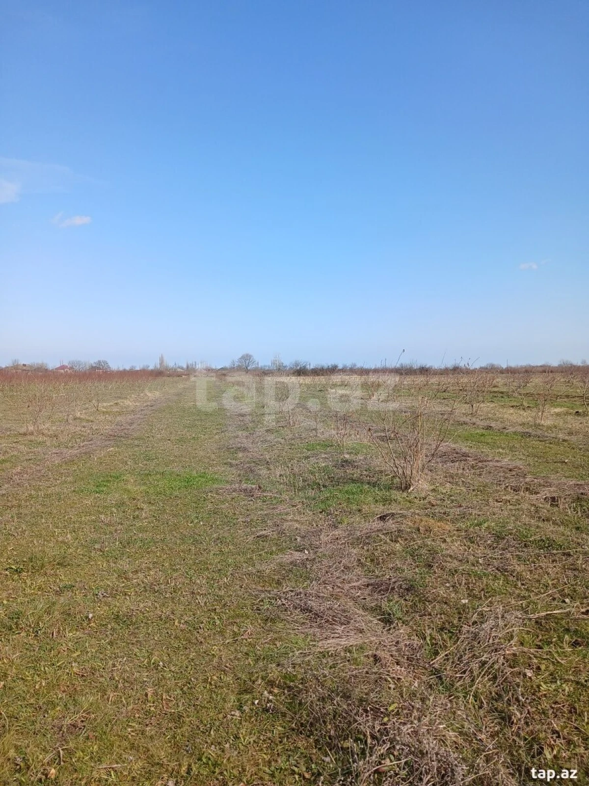 Satılır torpaq sahəsi