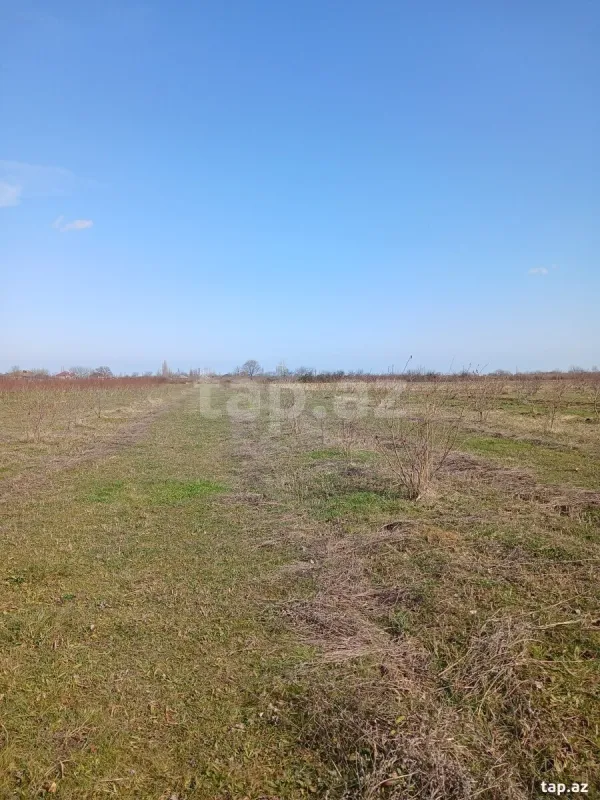 Satılır torpaq sahəsi