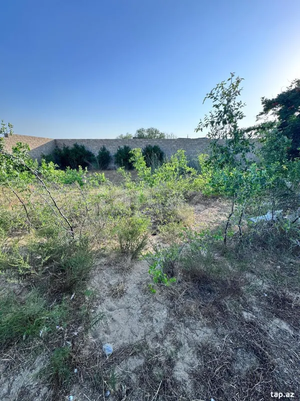 Satılır torpaq sahəsi