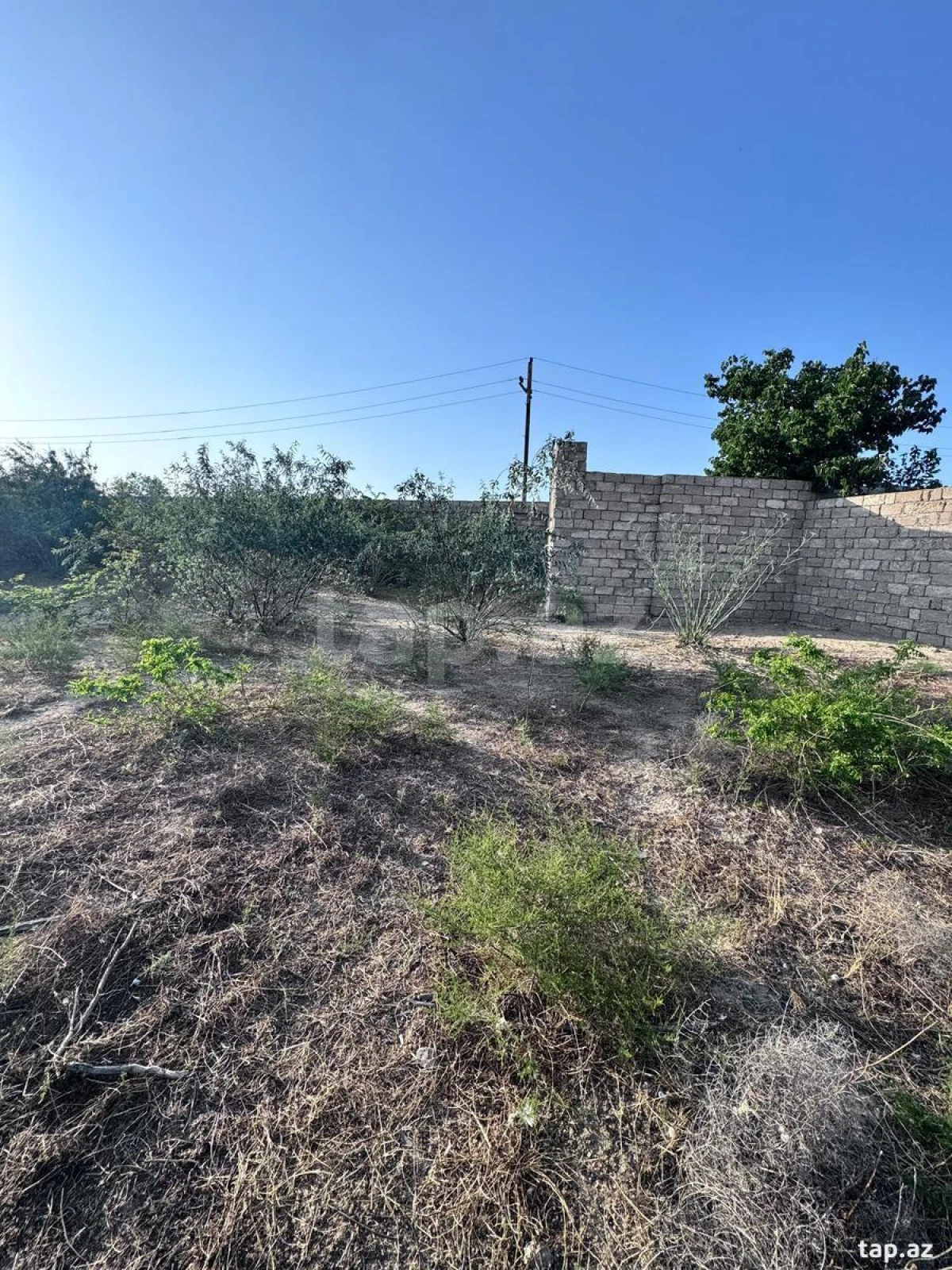 Satılır torpaq sahəsi