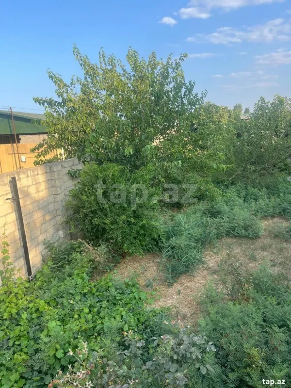 Satılır 3 otaqlı həyət evi