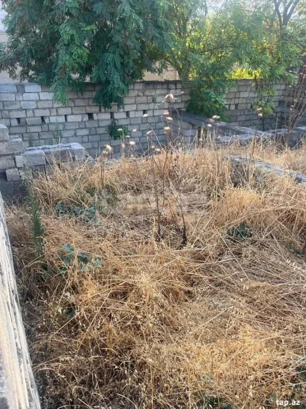 Satılır 3 otaqlı həyət evi