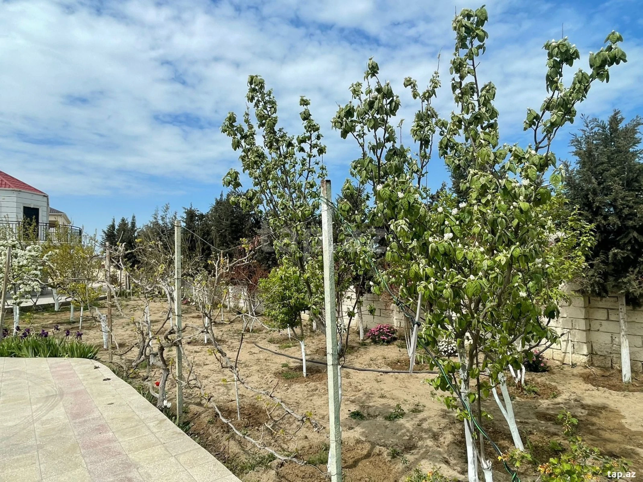 Kirayə verilir 5 otaqlı həyət evi