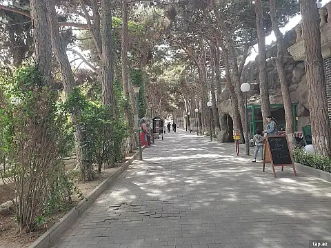 Kirayə verilir obyekt