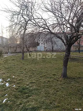 Satılır torpaq sahəsi — Qəbələ