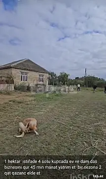 Satılır 4 otaqlı həyət evi