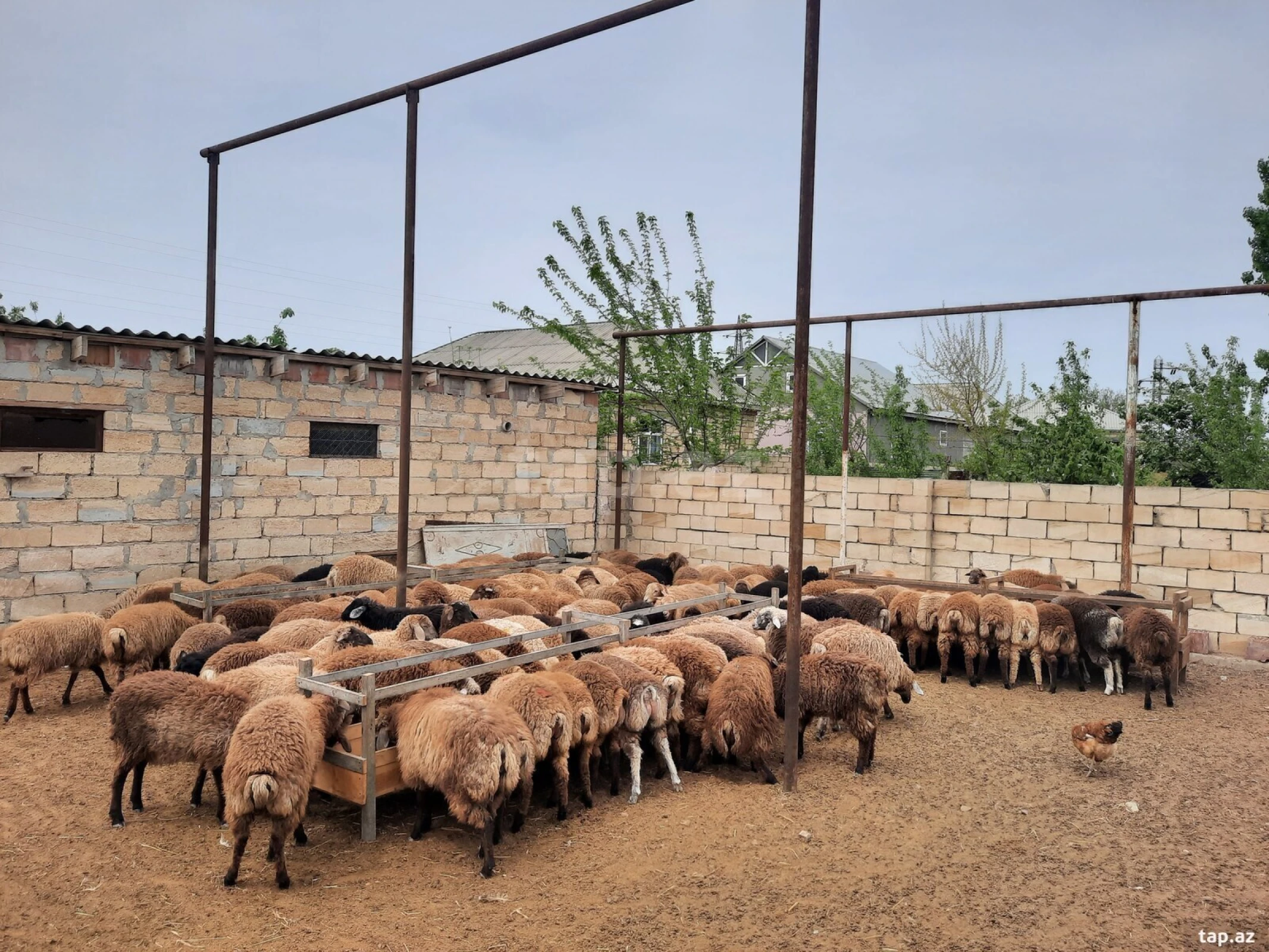 Satılır 4 otaqlı həyət evi
