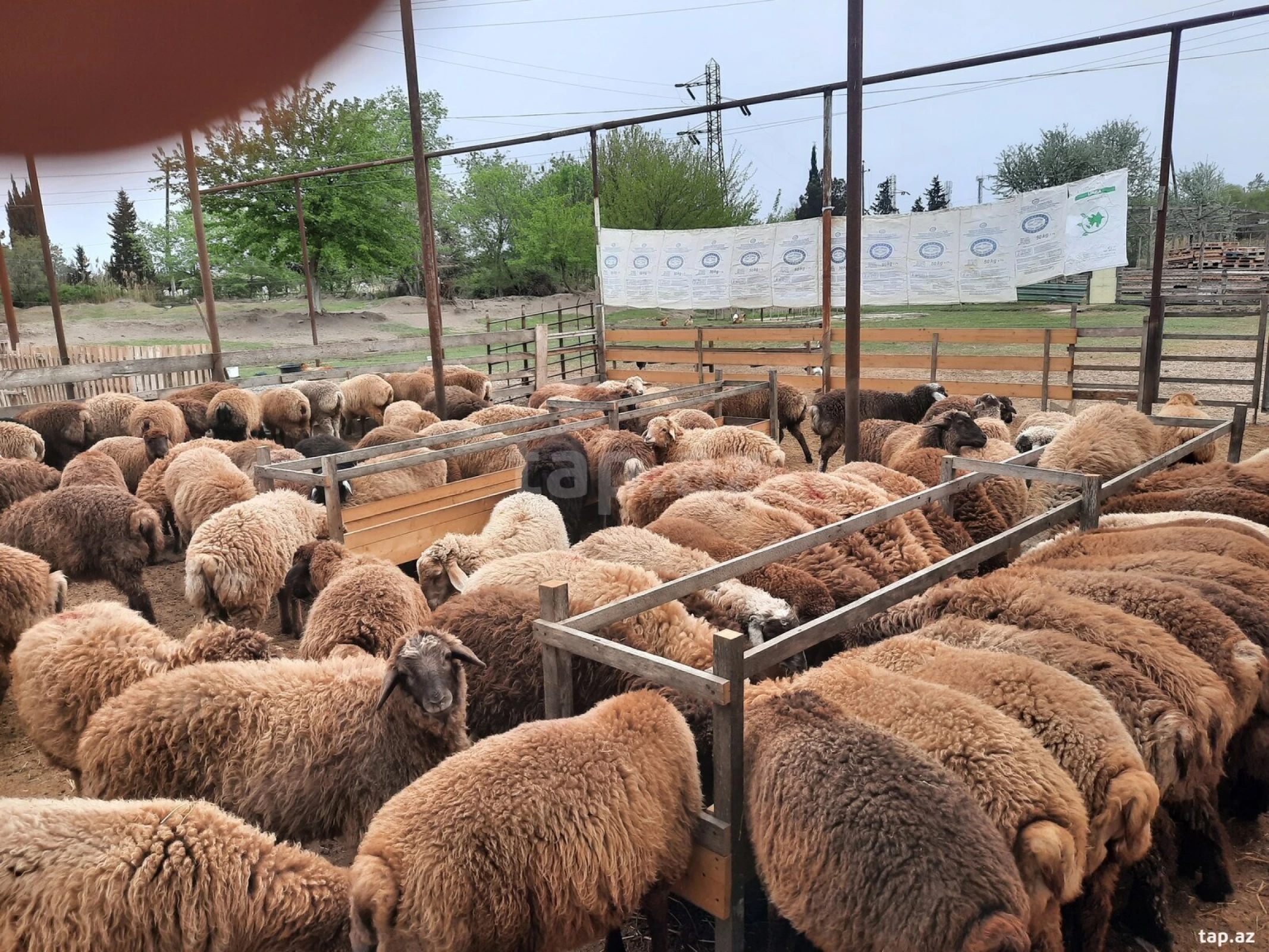 Satılır 4 otaqlı həyət evi