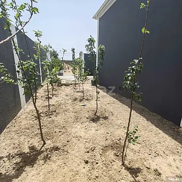 Satılır 3 otaqlı həyət evi