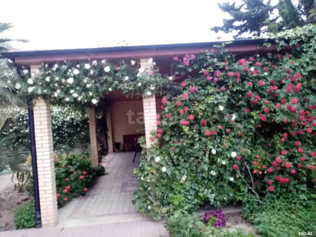 Kirayə verilir 3 otaqlı həyət evi