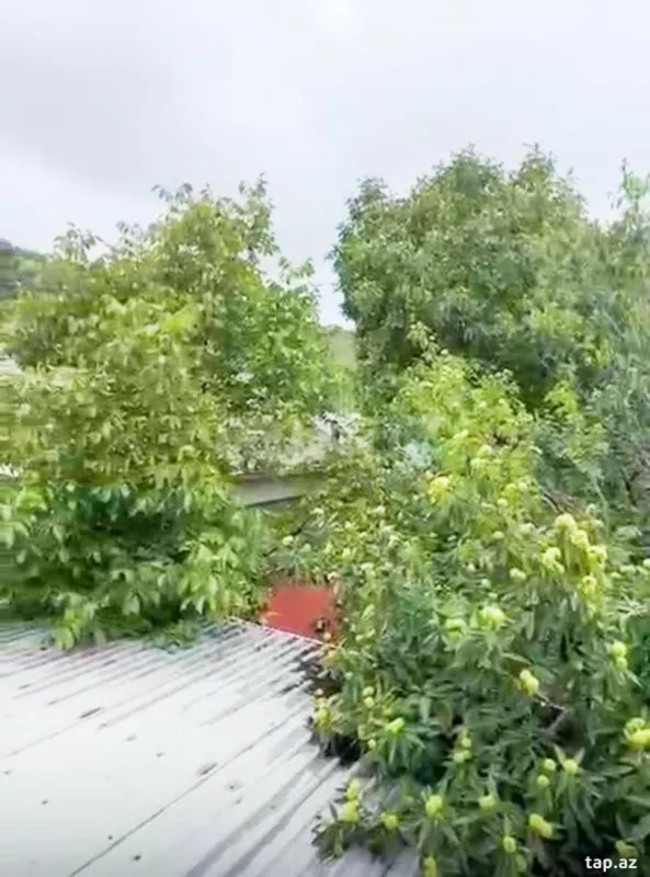 Satılır 6 otaqlı həyət evi