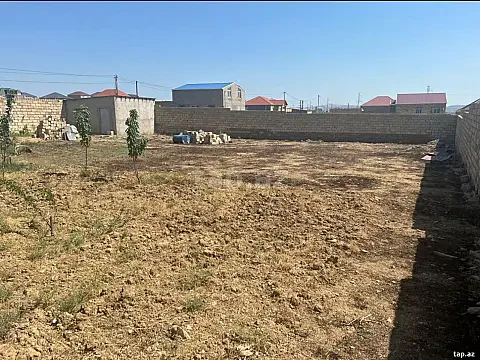 Satılır torpaq sahəsi — Masallı