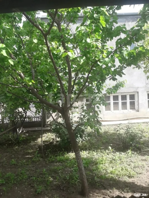 Kirayə verilir 3 otaqlı həyət evi