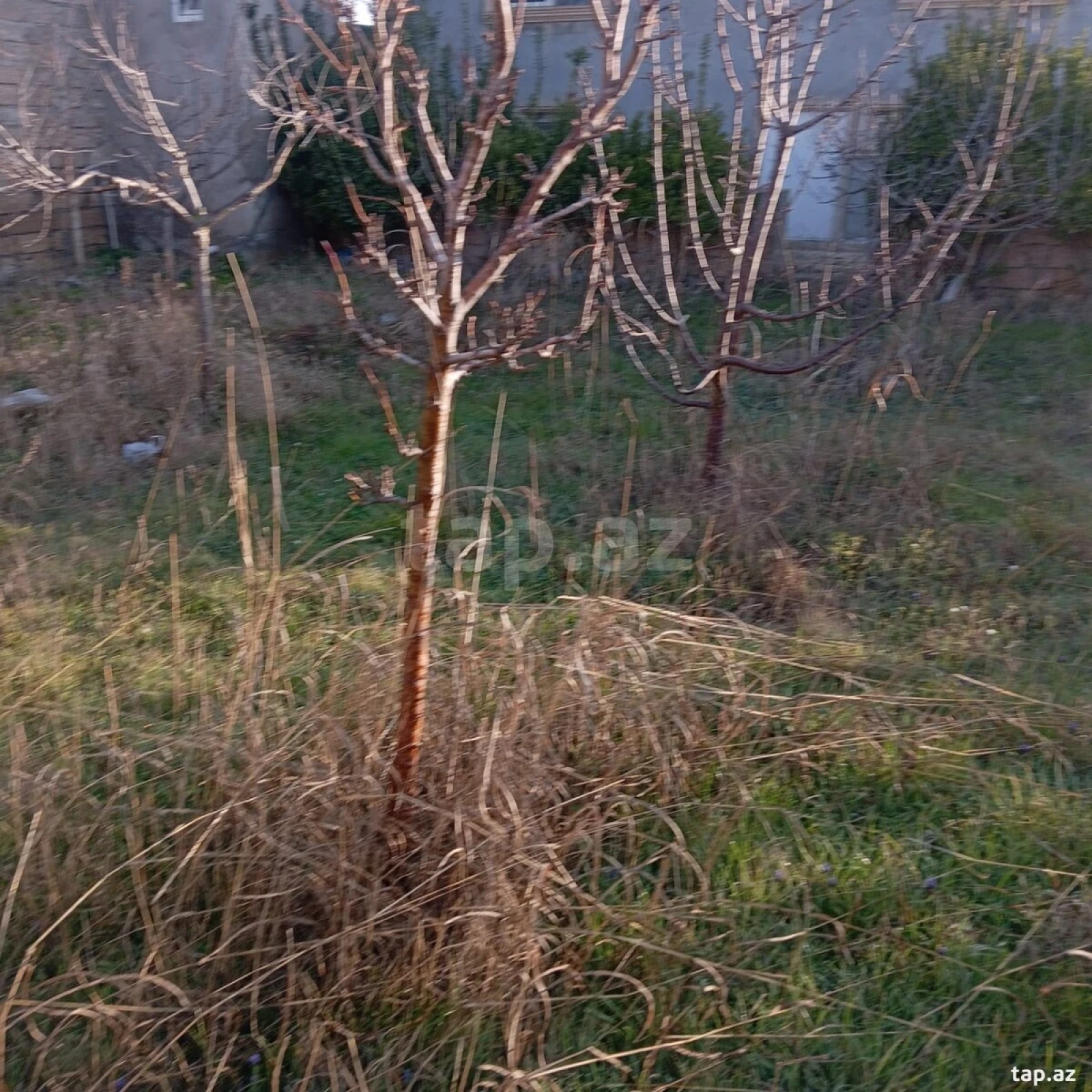 Satılır 5 otaqlı həyət evi