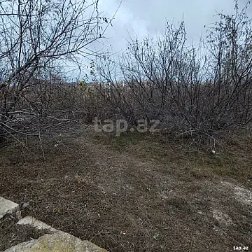 Satılır torpaq sahəsi — Bakı, Buzovna