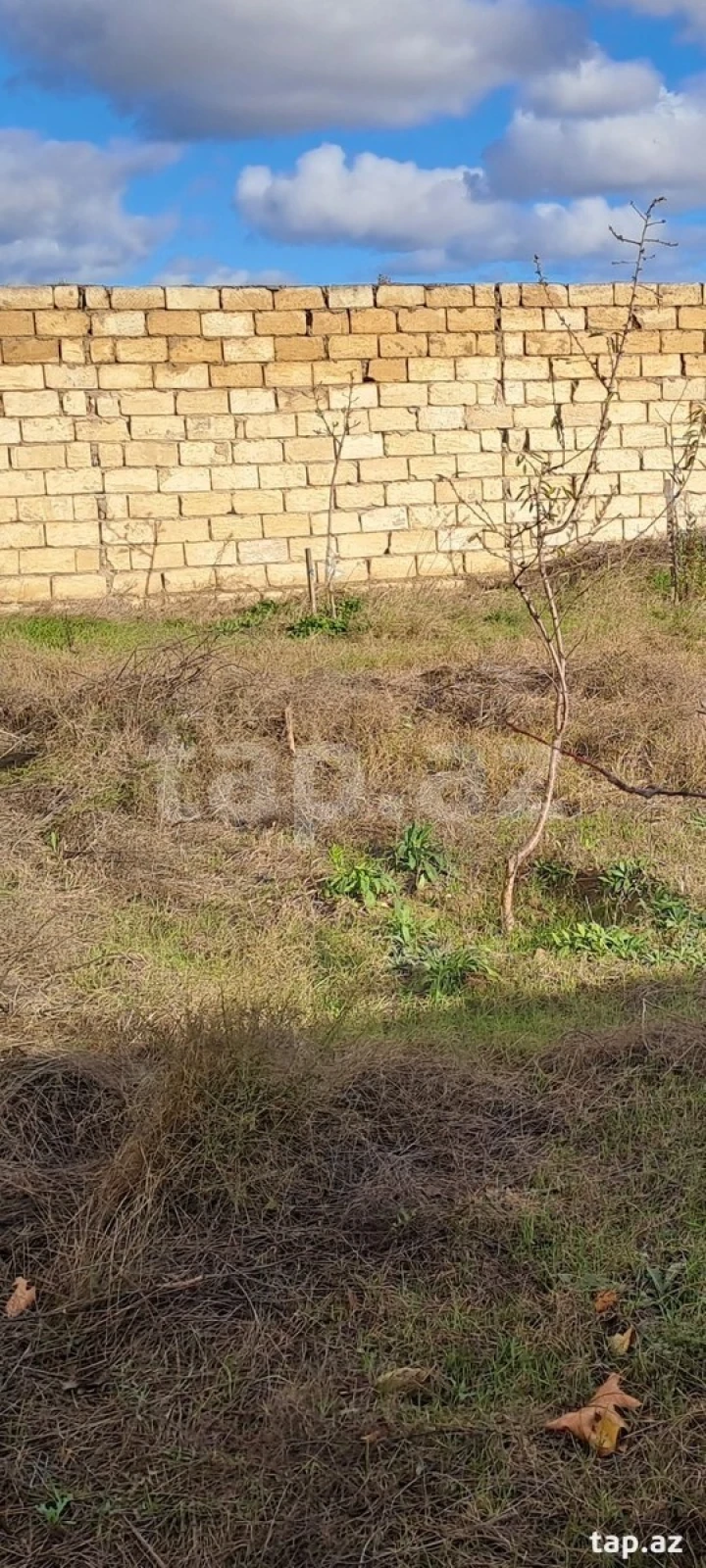 Satılır torpaq sahəsi