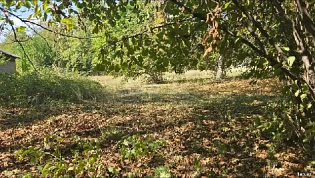 Satılır torpaq sahəsi — Qəbələ