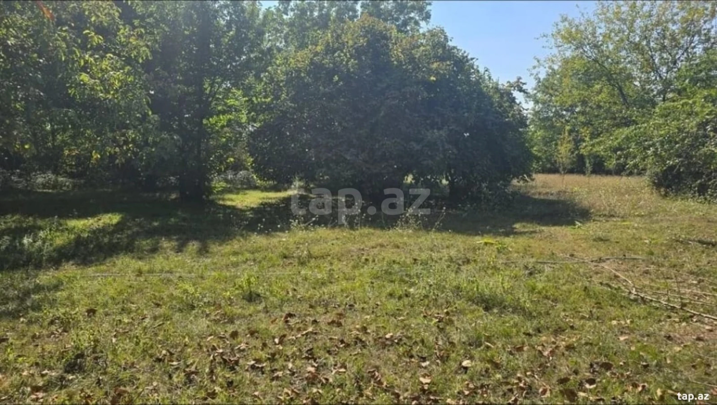 Satılır torpaq sahəsi