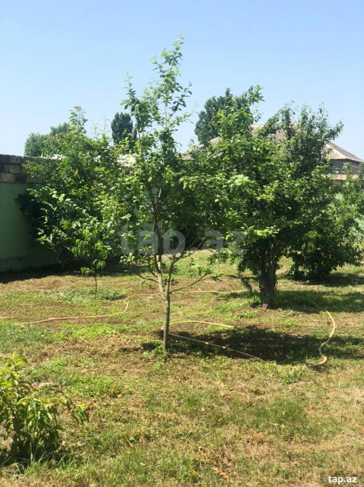 Satılır 7 otaqlı həyət evi