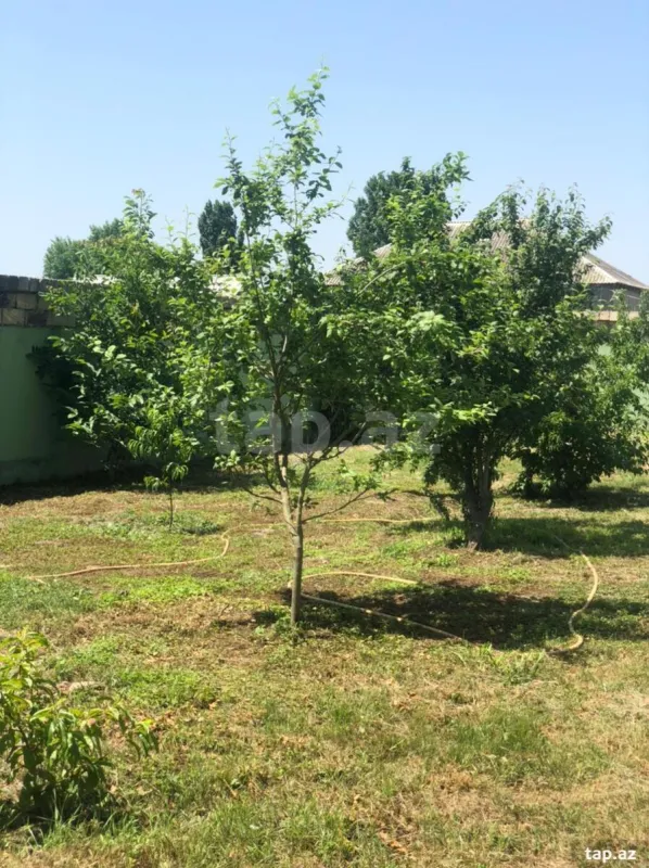 Satılır 7 otaqlı həyət evi