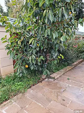 Satılır 7 otaqlı həyət evi