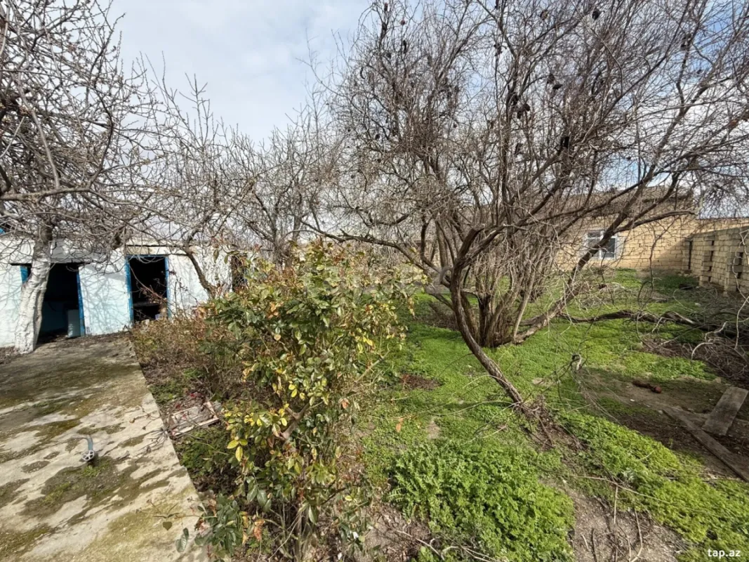 Satılır 3 otaqlı həyət evi