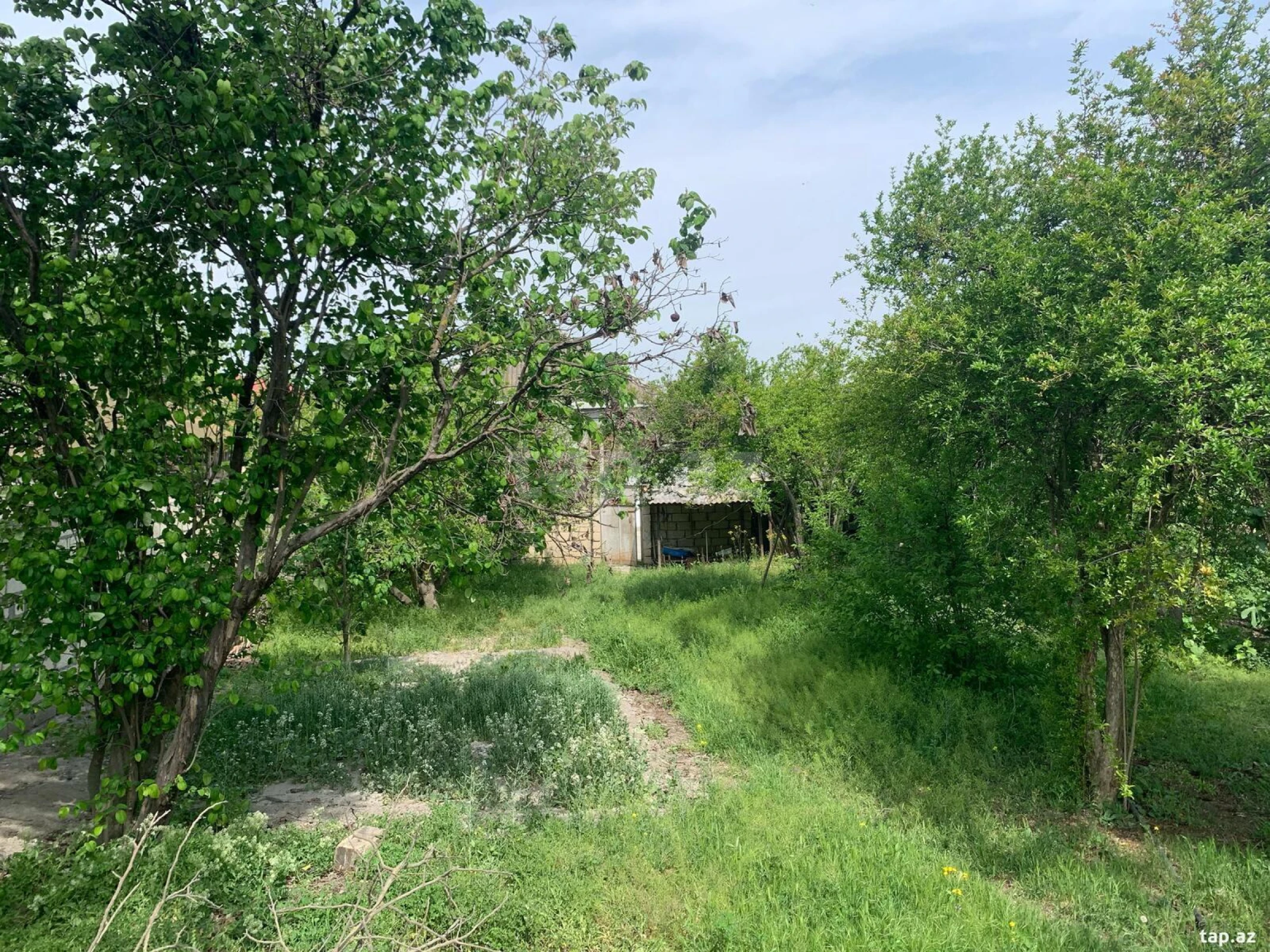 Satılır 5 otaqlı həyət evi