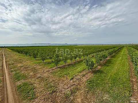 Satılır mənzil — Bakı