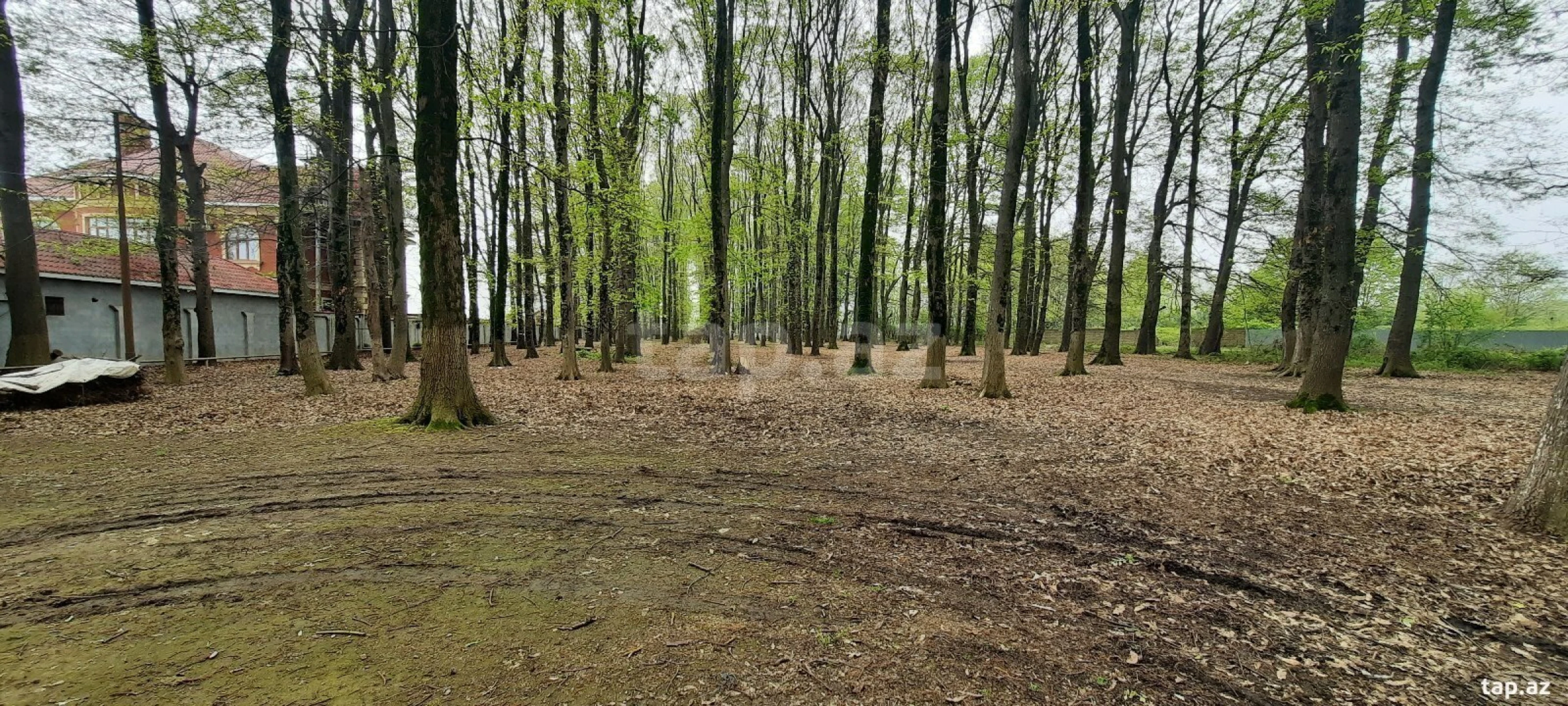 Satılır 4 otaqlı həyət evi