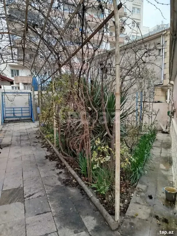 Kirayə verilir 7 otaqlı həyət evi 300 m²