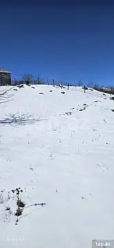 Satılır torpaq sahəsi — Qusar