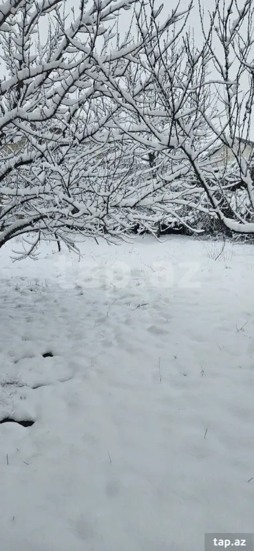 Satılır 4 otaqlı həyət evi