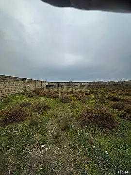 Satılır torpaq sahəsi — Neftçala