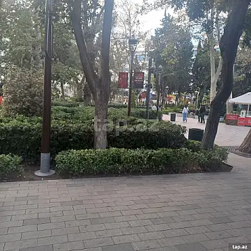 Kirayə verilir ofis