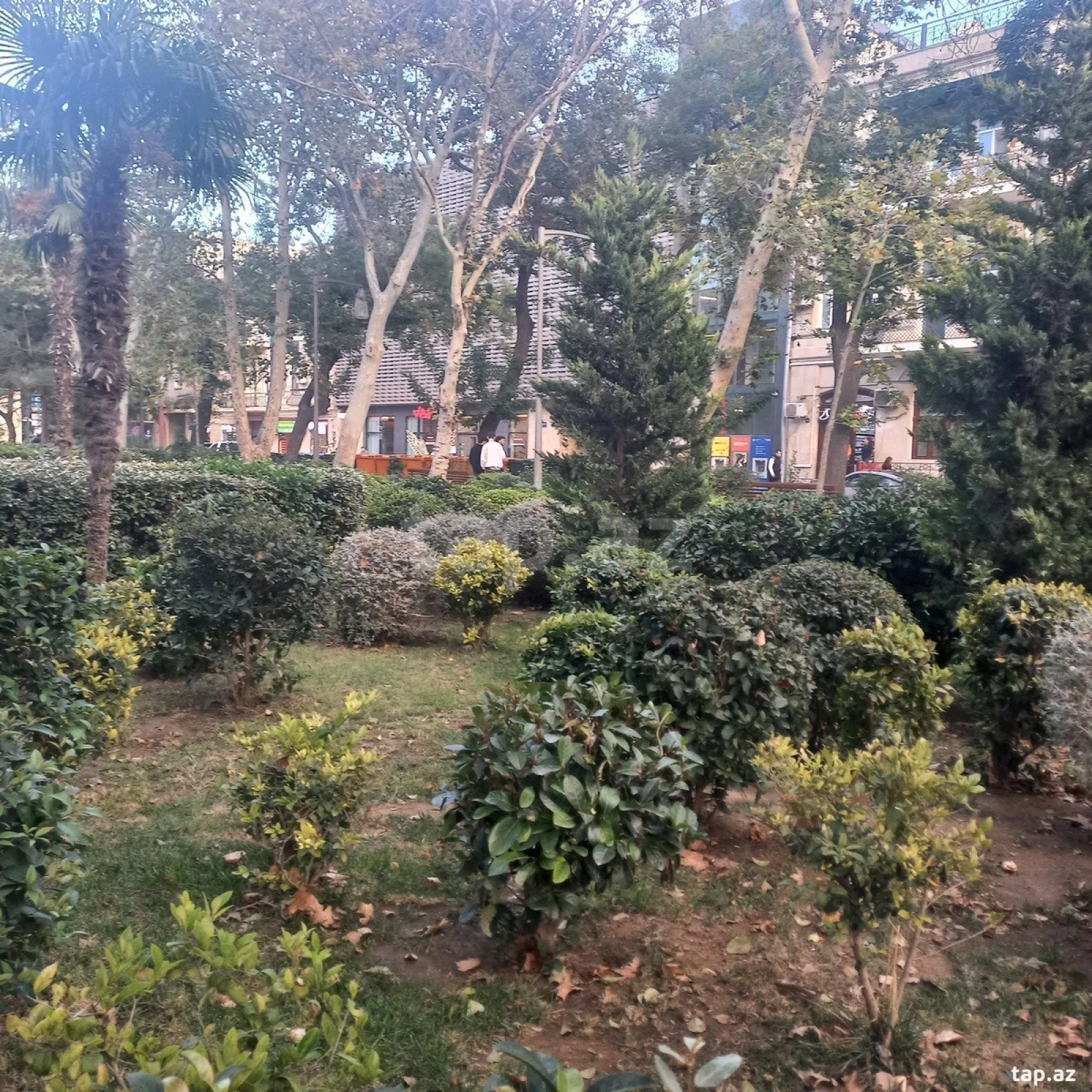 Kirayə verilir ofis