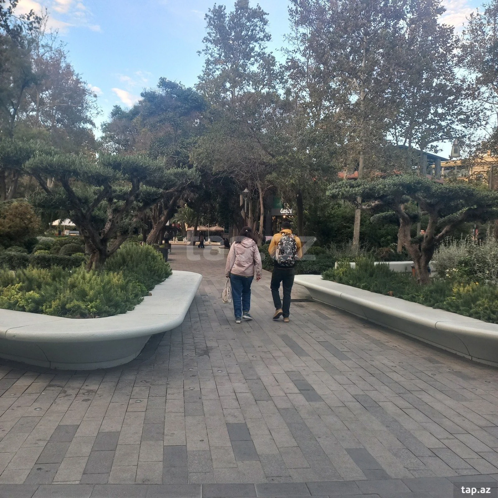 Kirayə verilir ofis