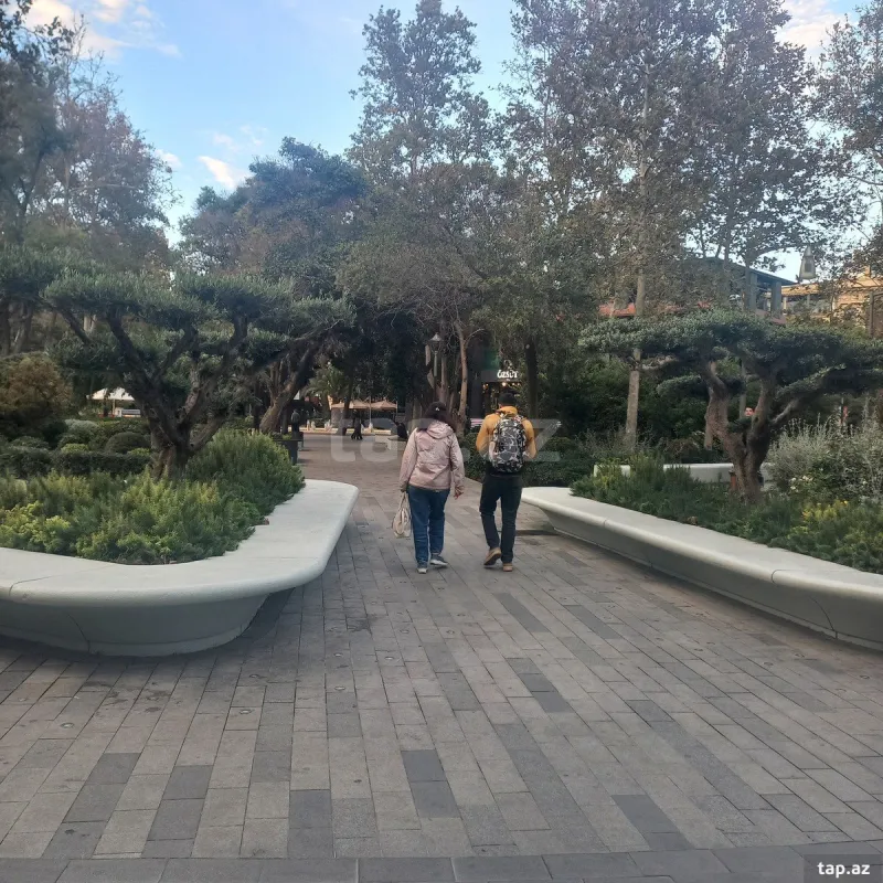 Kirayə verilir ofis