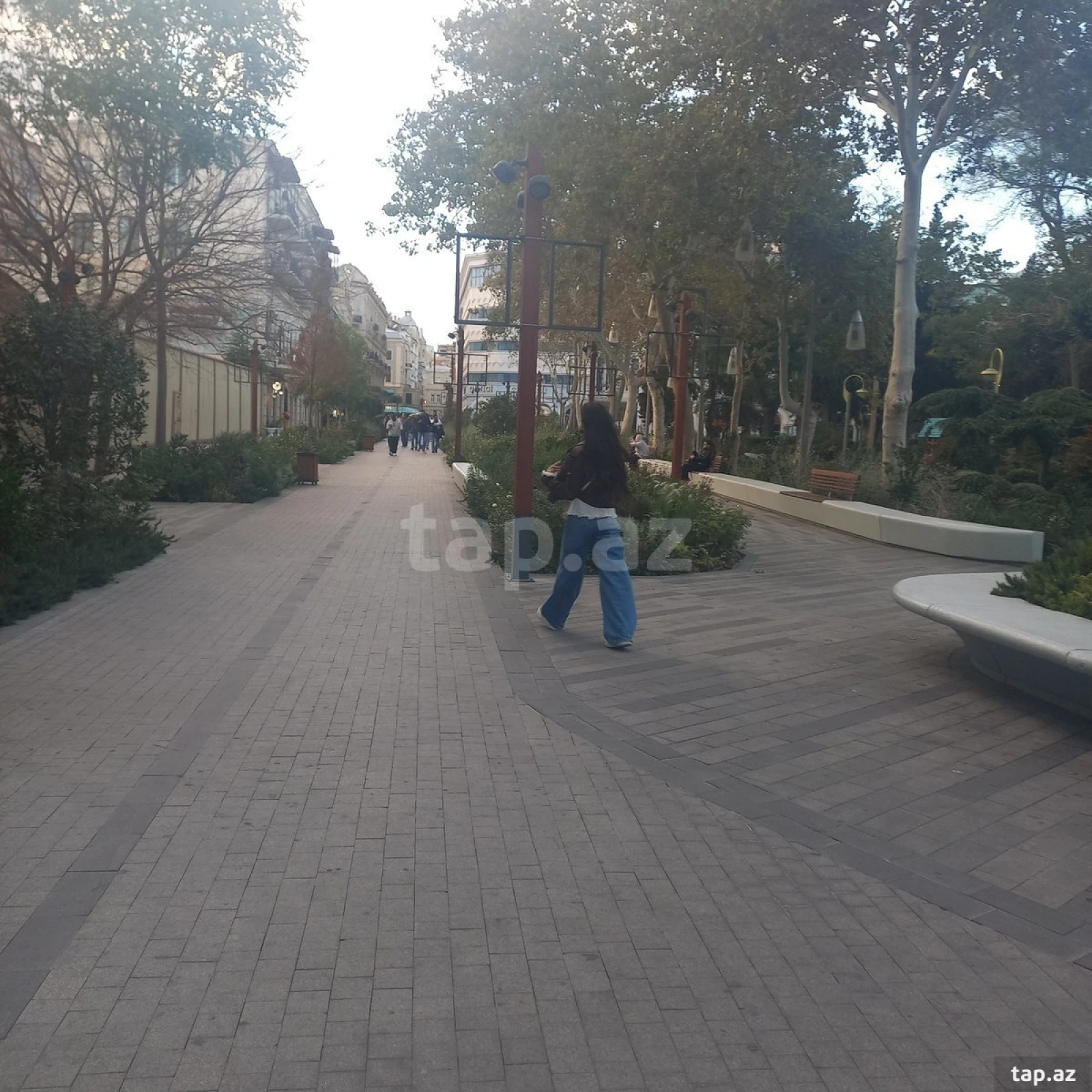 Kirayə verilir ofis