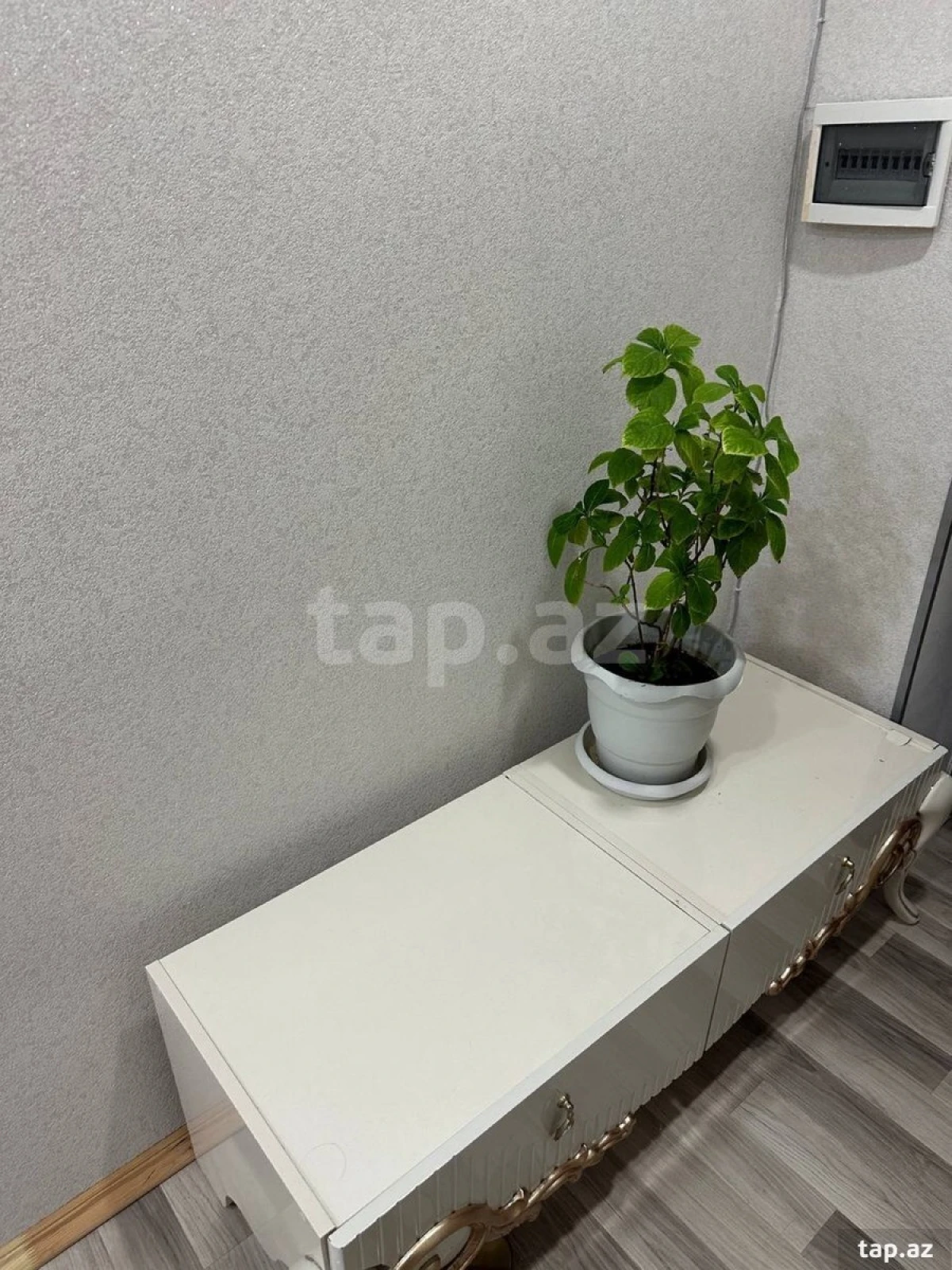 Kirayə verilir 2 otaqlı yeni tikili 70 m²