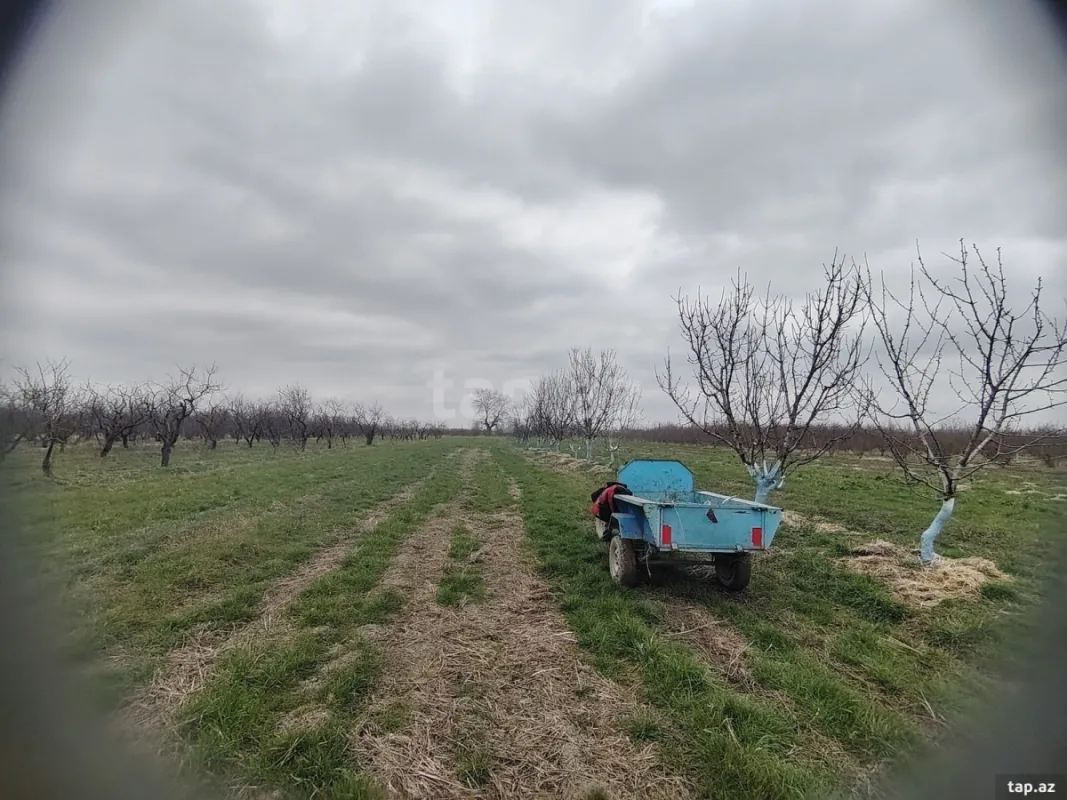 Kirayə verilir torpaq sahəsi