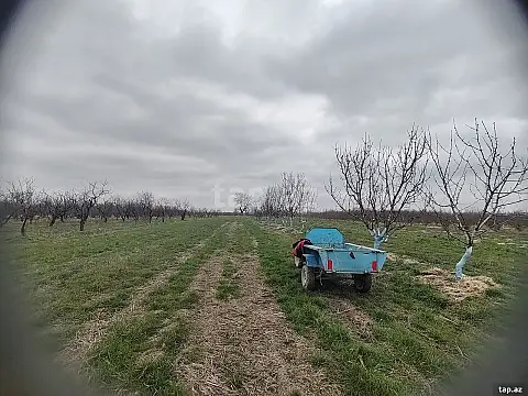 Kirayə verilir torpaq sahəsi