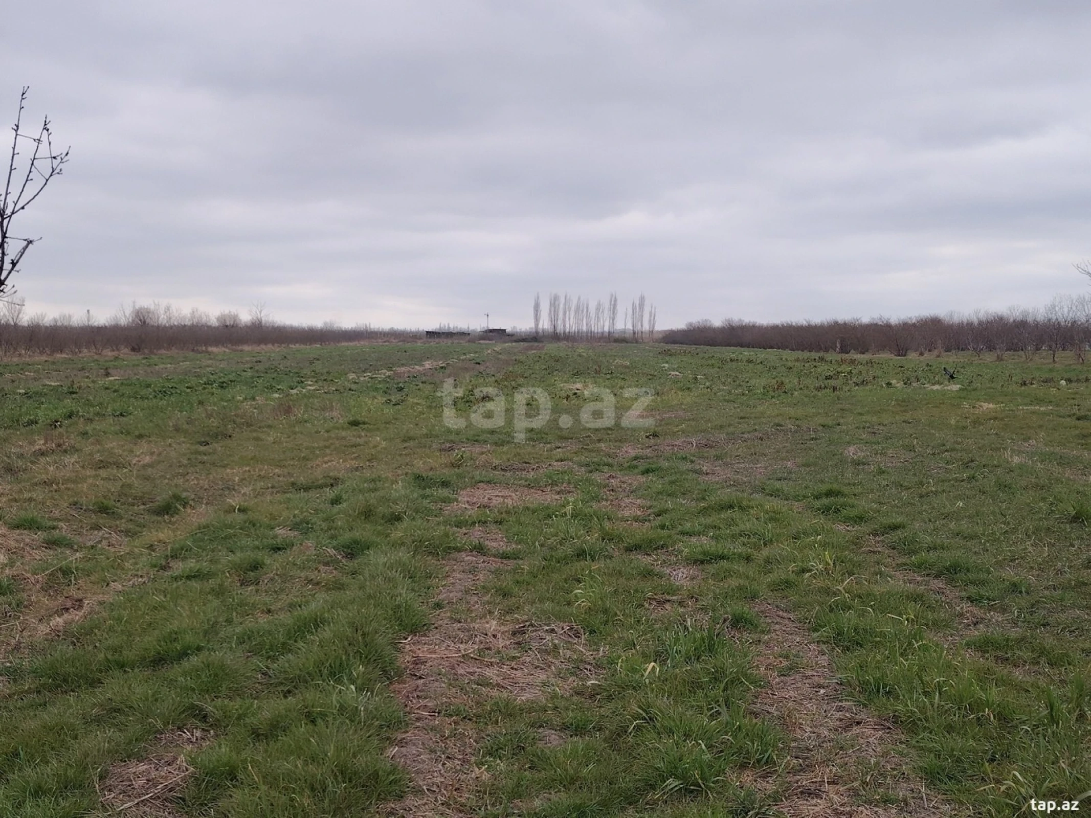 Kirayə verilir torpaq sahəsi