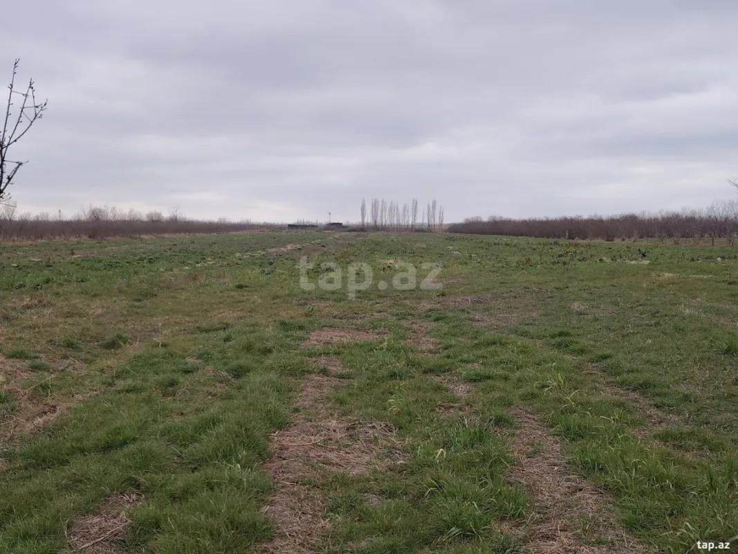 Kirayə verilir torpaq sahəsi