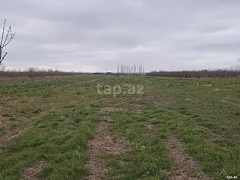 Kirayə verilir torpaq sahəsi